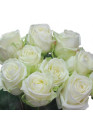 101 Белая роза Вайт Наоми (White Naomi) 50см