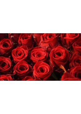 39 красных роз Ред Наоми (Red Naomi) 40см
