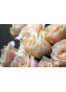 101 Кремово-розовая роза Талея (Talea) 50см