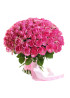 103 Бело-розовых роз Кэнди Аваланж (Candy Avalanche) 50см