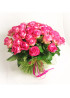 41 Бело-розовая роза Кэнди Аваланж (Candy Avalanche) 70см
