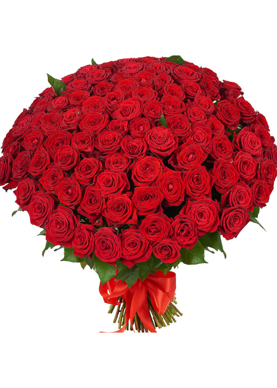 151 красная роза Ред Наоми (Red Naomi) 70см