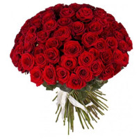 51 красная роза Ред Наоми (Red Naomi) 70см