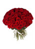 51 красная роза Ред Наоми (Red Naomi) 40см