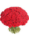 101 красная роза Ред Наоми (Red Naomi) 70см
