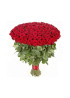 85 красных роз Ред Наоми (Red Naomi) 60см