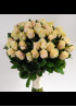 21 Кремово-розовая роза Талея (Talea) 60см