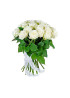 19 Белых роз Вайт Наоми (White Naomi) 40см