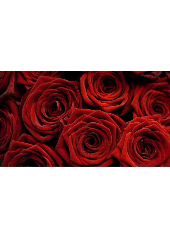 101 красная роза Ред Наоми в корзине
