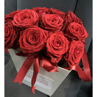 25 роз Ред Наоми в плайм-пакете