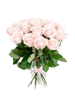 31 Бело-розовая роза Свит Аваланж (Sweet Avalanche) 60см